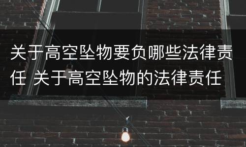 关于高空坠物要负哪些法律责任 关于高空坠物的法律责任