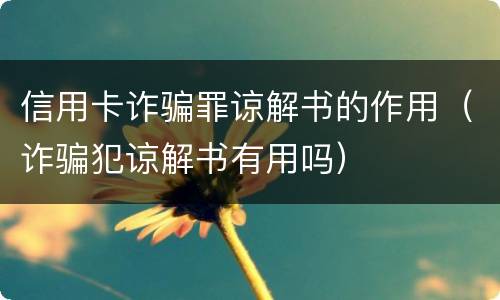 信用卡诈骗罪谅解书的作用（诈骗犯谅解书有用吗）