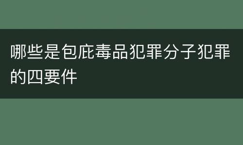 哪些是包庇毒品犯罪分子犯罪的四要件