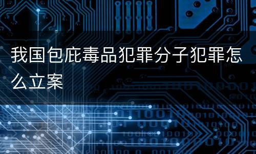 我国包庇毒品犯罪分子犯罪怎么立案