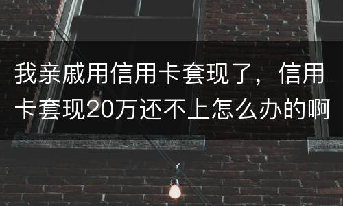 我亲戚用信用卡套现了，信用卡套现20万还不上怎么办的啊
