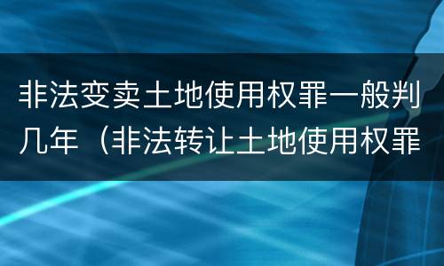 非法变卖土地使用权罪一般判几年（非法转让土地使用权罪判几年）