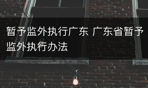 暂予监外执行广东 广东省暂予监外执行办法
