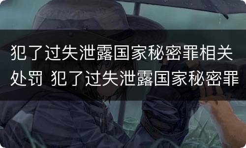 犯了过失泄露国家秘密罪相关处罚 犯了过失泄露国家秘密罪相关处罚依据
