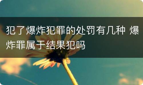 犯了爆炸犯罪的处罚有几种 爆炸罪属于结果犯吗