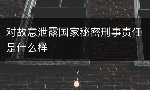 对故意泄露国家秘密刑事责任是什么样