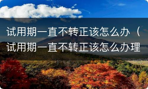 试用期一直不转正该怎么办（试用期一直不转正该怎么办理）