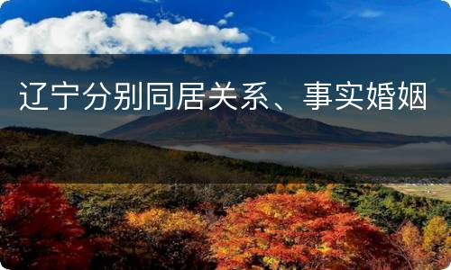 辽宁分别同居关系、事实婚姻