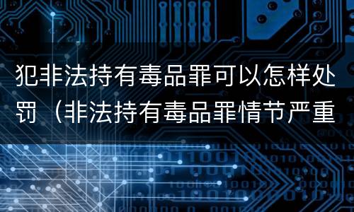 犯非法持有毒品罪可以怎样处罚（非法持有毒品罪情节严重）