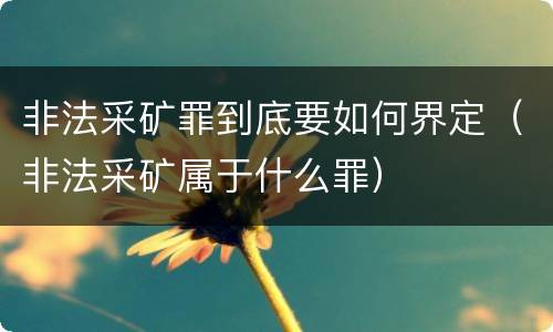 非法采矿罪到底要如何界定（非法采矿属于什么罪）