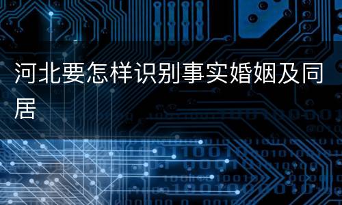 河北要怎样识别事实婚姻及同居