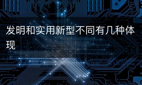 发明和实用新型不同有几种体现