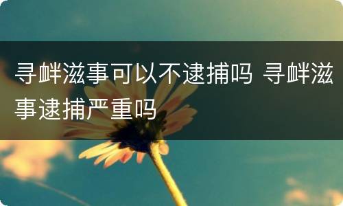 寻衅滋事可以不逮捕吗 寻衅滋事逮捕严重吗