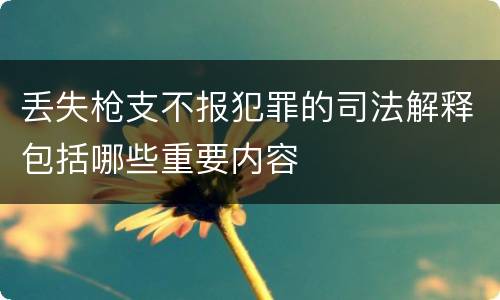 丢失枪支不报犯罪的司法解释包括哪些重要内容