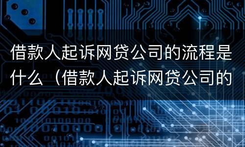 借款人起诉网贷公司的流程是什么（借款人起诉网贷公司的流程是什么样的）