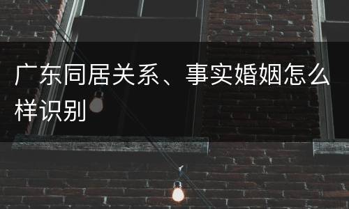 广东同居关系、事实婚姻怎么样识别