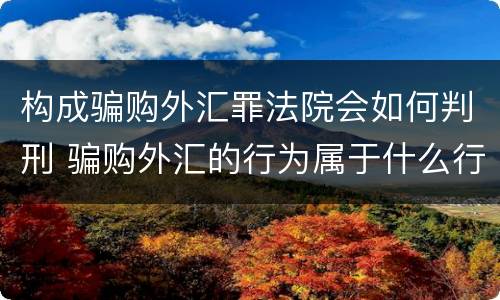 构成骗购外汇罪法院会如何判刑 骗购外汇的行为属于什么行为
