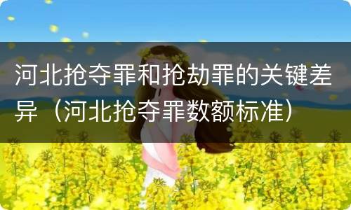 河北抢夺罪和抢劫罪的关键差异（河北抢夺罪数额标准）