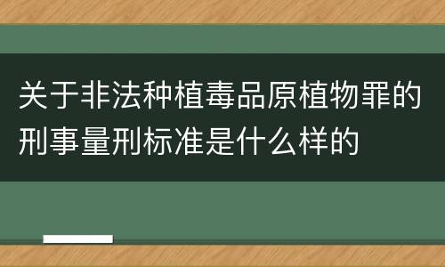 关于非法种植毒品原植物罪的刑事量刑标准是什么样的