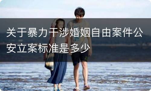 关于暴力干涉婚姻自由案件公安立案标准是多少