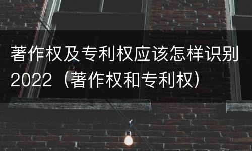 著作权及专利权应该怎样识别2022（著作权和专利权）