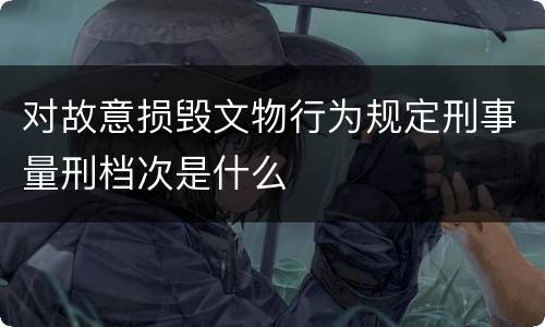 对故意损毁文物行为规定刑事量刑档次是什么