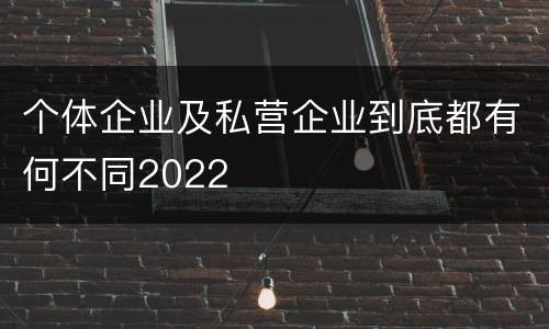 个体企业及私营企业到底都有何不同2022