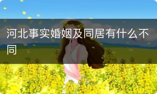 河北事实婚姻及同居有什么不同