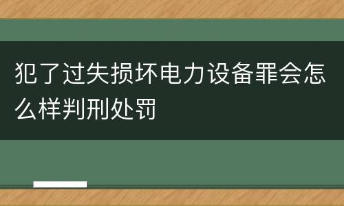 犯了过失损坏电力设备罪会怎么样判刑处罚