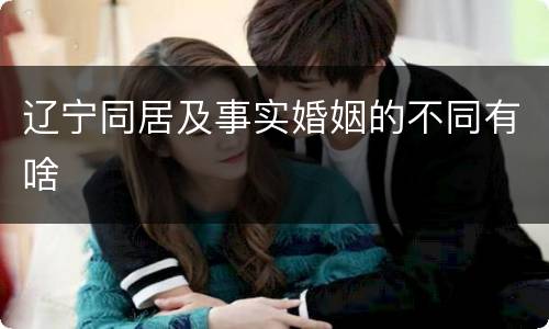 辽宁同居及事实婚姻的不同有啥