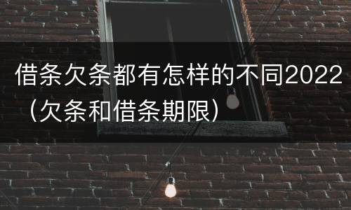借条欠条都有怎样的不同2022（欠条和借条期限）