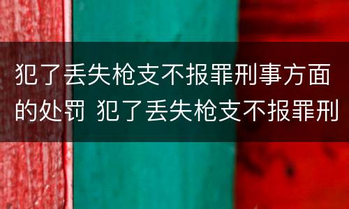 犯了丢失枪支不报罪刑事方面的处罚 犯了丢失枪支不报罪刑事方面的处罚有哪些