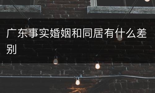 广东事实婚姻和同居有什么差别