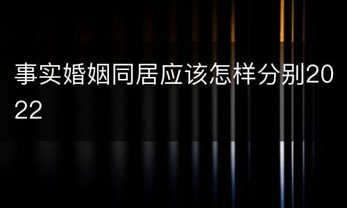 事实婚姻同居应该怎样分别2022