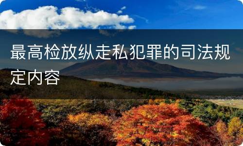最高检放纵走私犯罪的司法规定内容