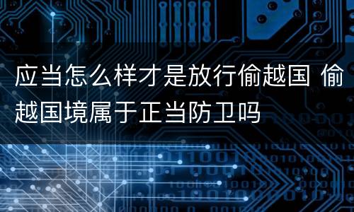 应当怎么样才是放行偷越国 偷越国境属于正当防卫吗