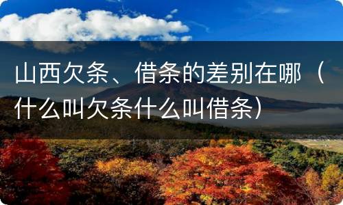 山西欠条、借条的差别在哪（什么叫欠条什么叫借条）