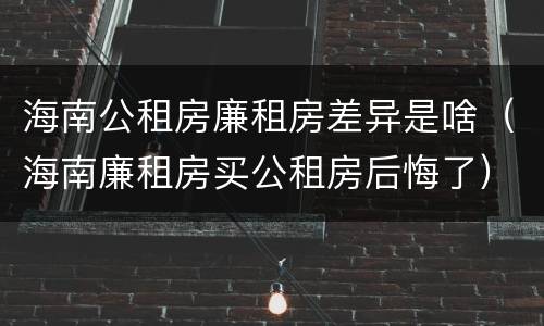 海南公租房廉租房差异是啥（海南廉租房买公租房后悔了）