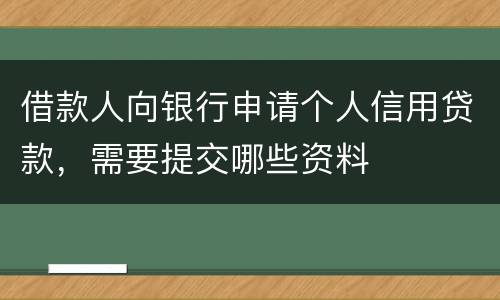 借款人向银行申请个人信用贷款，需要提交哪些资料