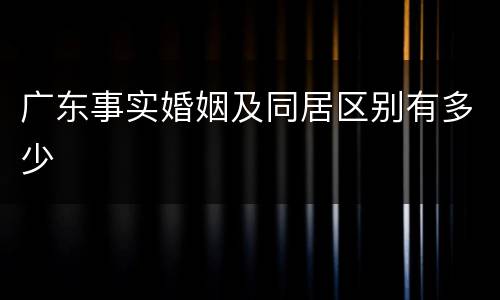 广东事实婚姻及同居区别有多少