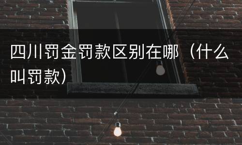 四川罚金罚款区别在哪（什么叫罚款）