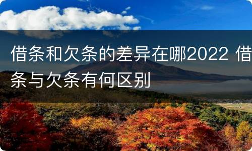 借条和欠条的差异在哪2022 借条与欠条有何区别