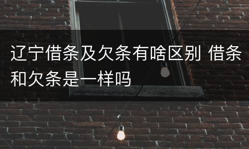 辽宁借条及欠条有啥区别 借条和欠条是一样吗