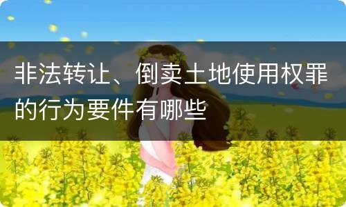 非法转让、倒卖土地使用权罪的行为要件有哪些