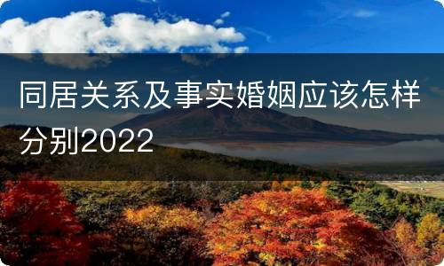 同居关系及事实婚姻应该怎样分别2022
