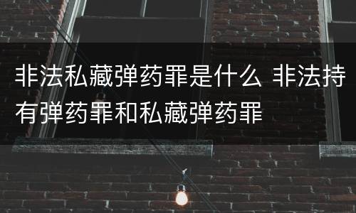 非法私藏弹药罪是什么 非法持有弹药罪和私藏弹药罪