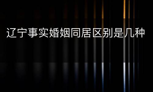 辽宁事实婚姻同居区别是几种