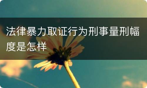 法律暴力取证行为刑事量刑幅度是怎样