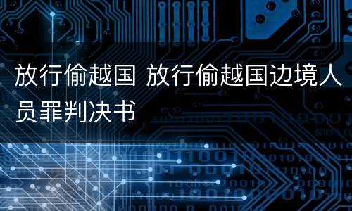 放行偷越国 放行偷越国边境人员罪判决书