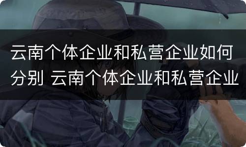 云南个体企业和私营企业如何分别 云南个体企业和私营企业如何分别认定